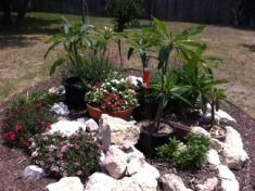2011-05-24-Janeen's TBI-40.jpg